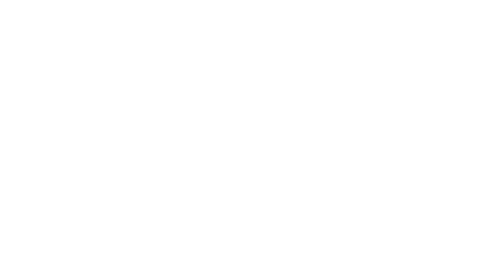 Braver Strides White Logo