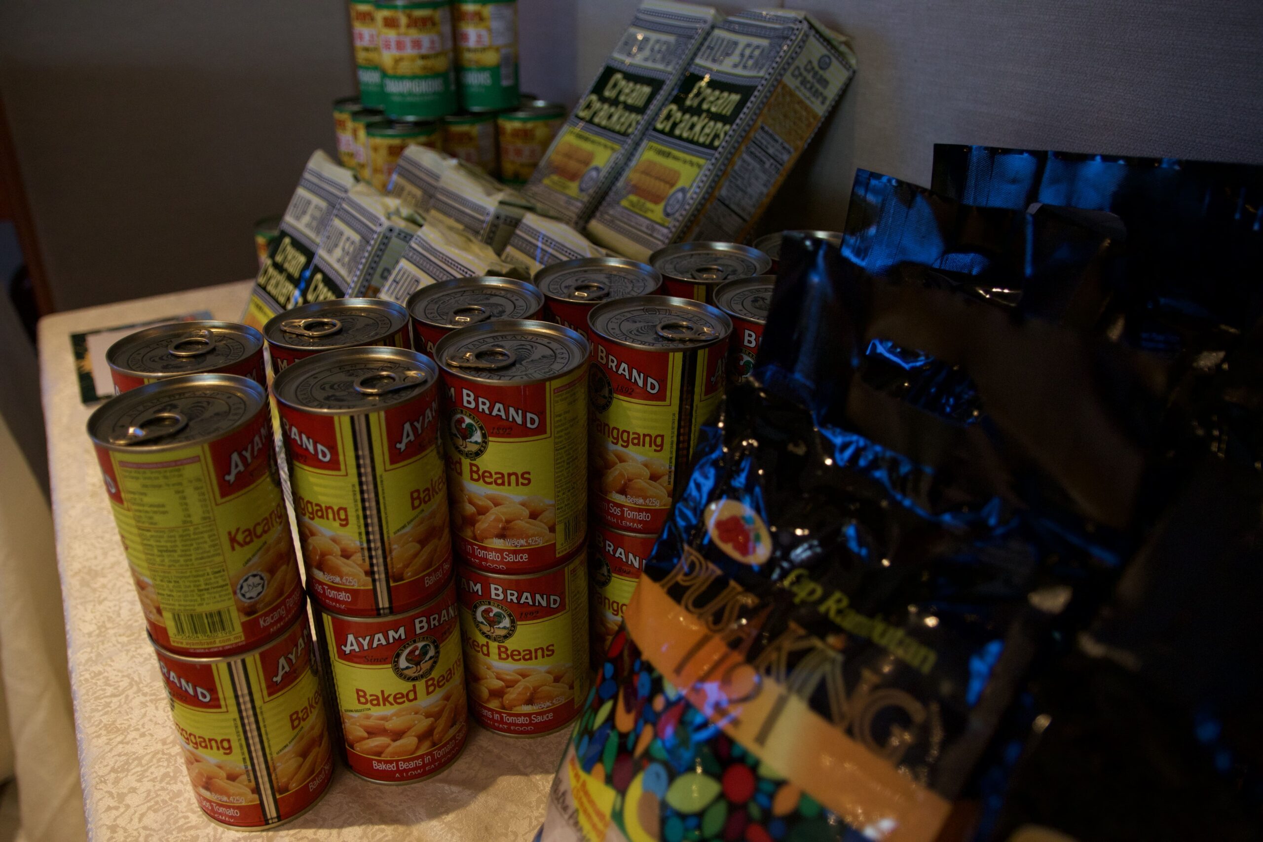 CSR Donating Food Supplies with Braver Strides